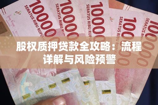 北京股权质押贷款全攻略：流程详解与风险预警