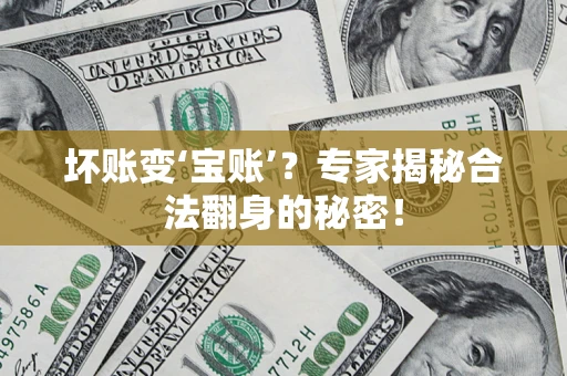 北京坏账变‘宝账’？专家揭秘合法翻身的秘密！