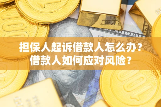 北京担保人起诉借款人怎么办？借款人如何应对风险？