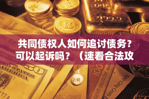 北京共同债权人如何追讨债务？可以起诉吗？（速看合法攻略）