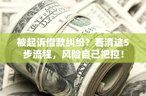 北京被起诉借款纠纷？看清这5步流程，风险自己把控！